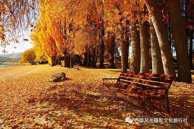 你好邻居